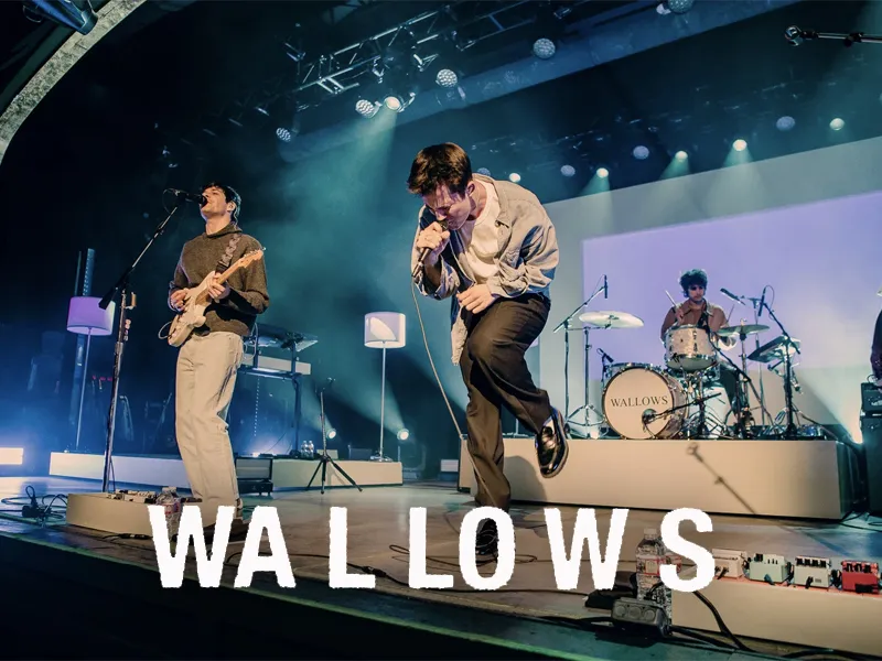 Wallows tickets