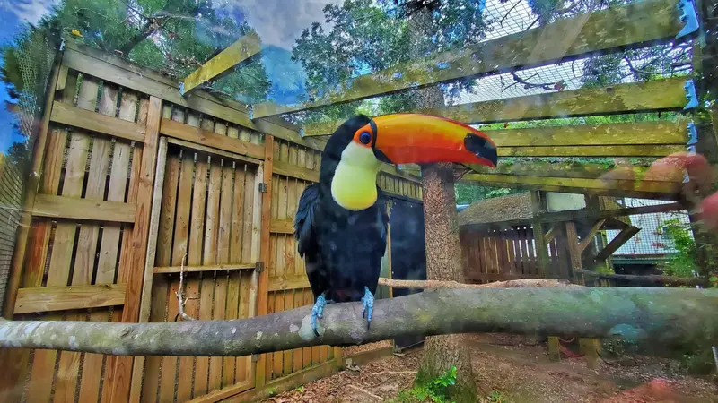 Zoo Atlanta