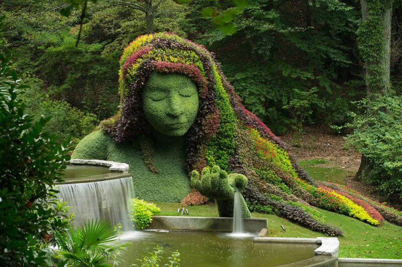 The Atlanta Botanical Garden
